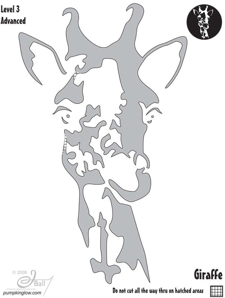giraffe Pumpkin Glow