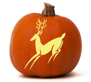 reindeer-Pumpkin