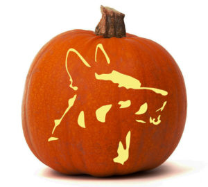 shepdog-Pumpkin