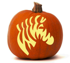 zebra-Pumpkin