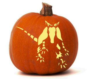 Armadillo-pumpkin