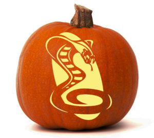 Cobra-pumpkin