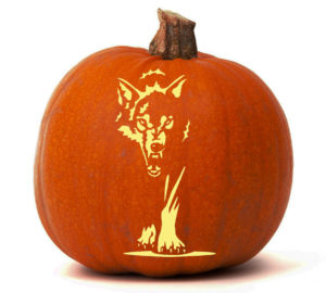 Dark Wolf - Pumpkin Glow