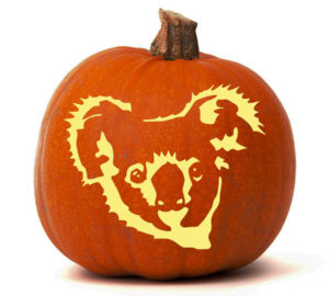 Koala-pumpkin