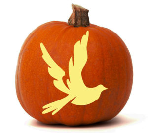 White-Dove-pumpkin