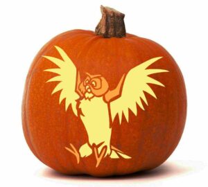 Owl-Pumpkin